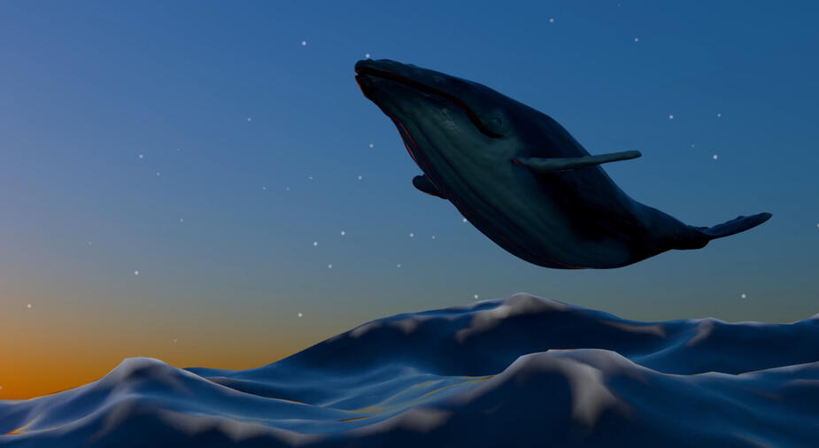A flying whale: video excerpt