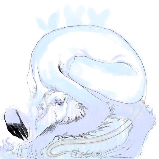 Monster sketch